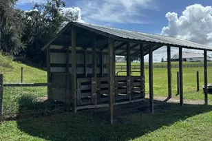 6438 Cox Rd, Bartow, FL 33830 - Photo 92