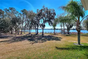 381 Nolane Ln, Polk City, FL 33868 - Photo 60