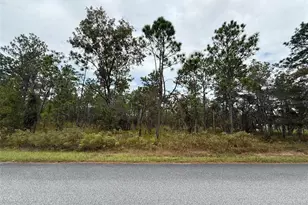 NW Amberjack Ave, Dunnellon, FL 34431 - Photo 1