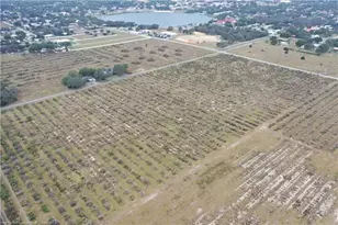 525 E Winthrop St, Avon Park, FL 33825 - Photo 6