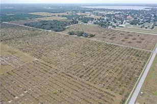 525 E Winthrop St, Avon Park, FL 33825 - Photo 10