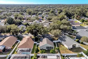 2729 Pankaw Ln, Valrico, FL 33596 - Photo 4