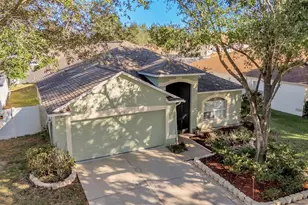 2729 Pankaw Ln, Valrico, FL 33596 - Photo 2