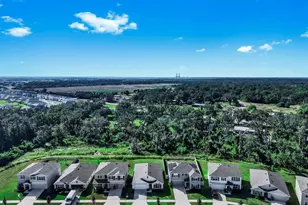 3281 Silver Date Dr, Wimauma, FL 33598 - Photo 42