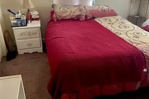 917 Bonnie Dr, Lakeland, FL 33803 - Photo 8