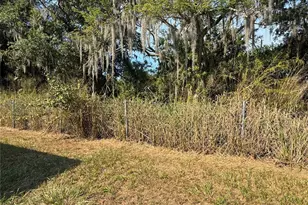 402 Oak Ridge E, Lakeland, FL 33801 - Photo 20