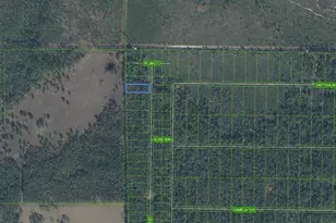 4705 Rhubarb St, Sebring, FL 33875 - Photo 2