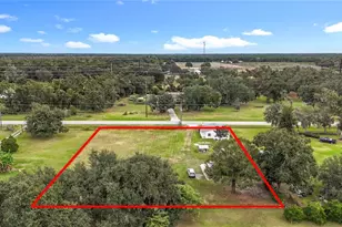 5219 County Rd 663, Bowling Green, FL 33834 - Photo 16