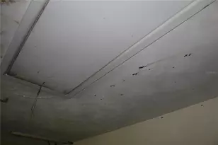 2755 Taylor Rd, Winter Haven, FL 33880 - Photo 74