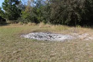 2755 Taylor Rd, Winter Haven, FL 33880 - Photo 20