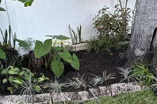 1406 Walden Oaks Pl, Plant City, FL 33563 - Photo 62