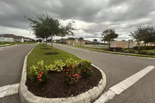 805 Orchid Grove Blvd, Davenport, FL 33837 - Photo 10