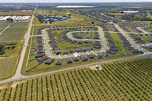 2001 Amber Sweet Cir, Dundee, FL 33838 - Photo 36