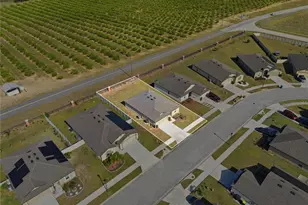 2001 Amber Sweet Cir, Dundee, FL 33838 - Photo 4