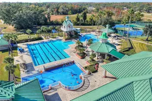 8623 Snowy Owl Way, Tampa, FL 33647 - Photo 30