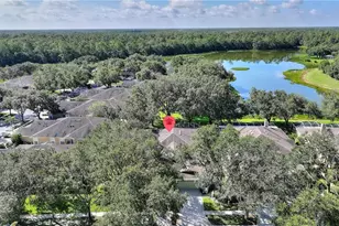 8623 Snowy Owl Way, Tampa, FL 33647 - Photo 40