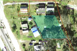 404 NW 7th St, Mulberry, FL 33860 - Photo 22