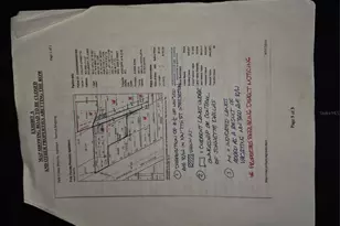 406 NW 7th St, Mulberry, FL 33860 - Photo 16