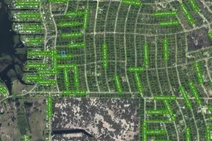 208 Coleen Ln, Lake Placid, FL 33852 - Photo 2