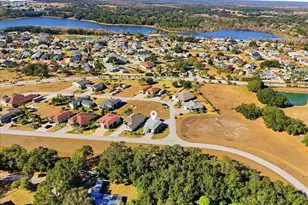 303 Nolane Ln, Polk City, FL 33868 - Photo 8