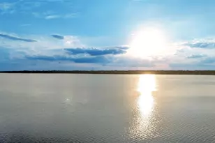 165 Arianna Way, Auburndale, FL 33823 - Photo 16