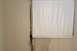 2055 S Floral Ave, Bartow, FL 33830 - Photo 32