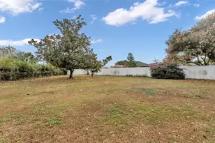 6664 Chadron Ct, Lakeland, FL 33813 - Photo 50