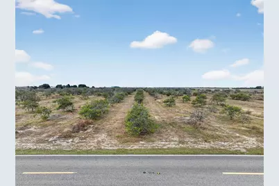 Alturas Babson Park Cutoff, Bartow, FL 33830 - Photo 4