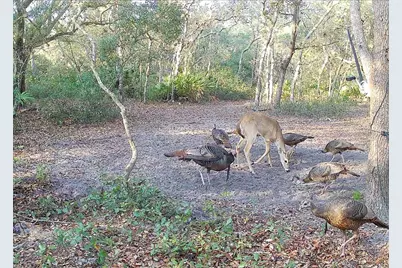 4125 Tiger Creek Trl, Lake Wales, FL 33898 - Photo 54