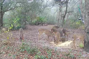 4125 Tiger Creek Trail, Lake Wales, FL 33898 - Photo 58