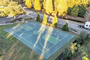 6247 Hawk Grove Ct, Wesley Chapel, FL 33545 - Photo 44