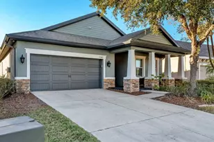 6247 Hawk Grove Ct, Wesley Chapel, FL 33545 - Photo 2