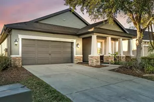 6247 Hawk Grove Ct, Wesley Chapel, FL 33545 - Photo 1