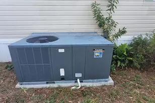 2020 Thelma Dr, Lake Alfred, FL 33850 - Photo 8