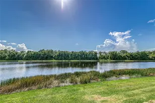 5330 Silver Sun Dr, Apollo Beach, FL 33572 - Photo 50