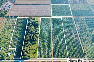 2205 Hicks Rd, Lorida, FL 33857 - Photo 2