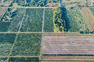 2205 Hicks Rd, Lorida, FL 33857 - Photo 6