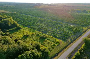 2205 Hicks Rd, Lorida, FL 33857 - Photo 8