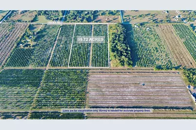 2233 Hicks Road, Lorida, FL 33857 - Photo 2