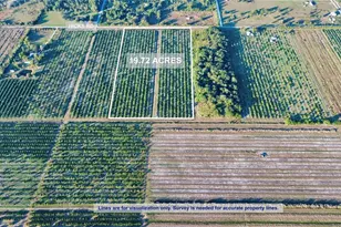 2233 Hicks Rd, Lorida, FL 33857 - Photo 2