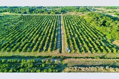 2233 Hicks Road, Lorida, FL 33857 - Photo 1
