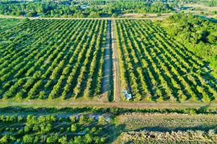 2233 Hicks Rd, Lorida, FL 33857 - Photo 1