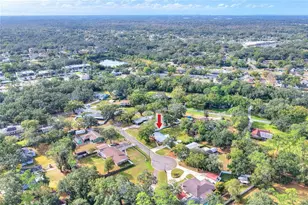 3204 Amaya Ct, Brandon, FL 33511 - Photo 54