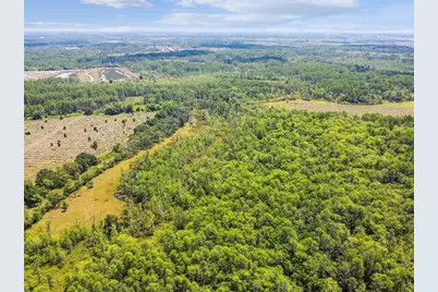 0 St Rd 557, Lake Alfred, FL 33850 - Photo 8