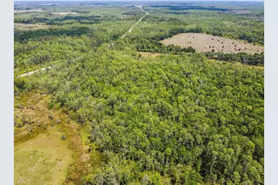 0 St Rd 557, Lake Alfred, FL 33850 - Photo 10