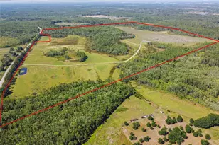 0 St Rd 557, Lake Alfred, FL 33850 - Photo 1