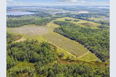 0 St Rd 557, Lake Alfred, FL 33850 - Photo 16