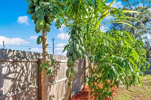 3808 W Country Loop, Lakeland, FL 33811 - Photo 30