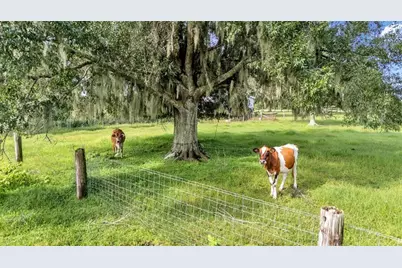 606 Morgan Road, Winter Haven, FL 33880 - Photo 36