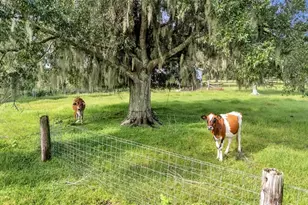 606 Morgan Rd, Winter Haven, FL 33880 - Photo 36